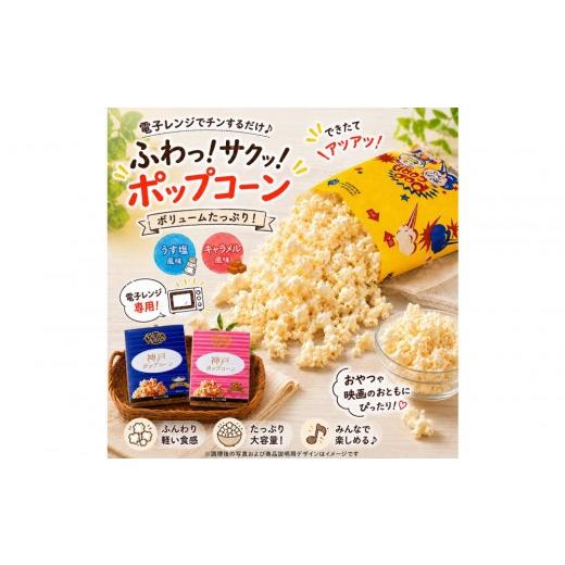 ふるさと納税 菓子 詰合せ 兵庫県 神戸市 Rich Nuts 神戸ポップコーン2種セット(うす塩風味・キャラメル風味)