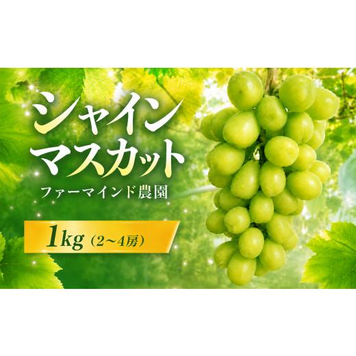 ふるさと納税 ぶどう マスカット 千葉県 富津市 シャインマスカット 1kg(2〜4房) 8月上旬頃発送 ファーマインド農園 シャイン マスカット ぶどう フルー…