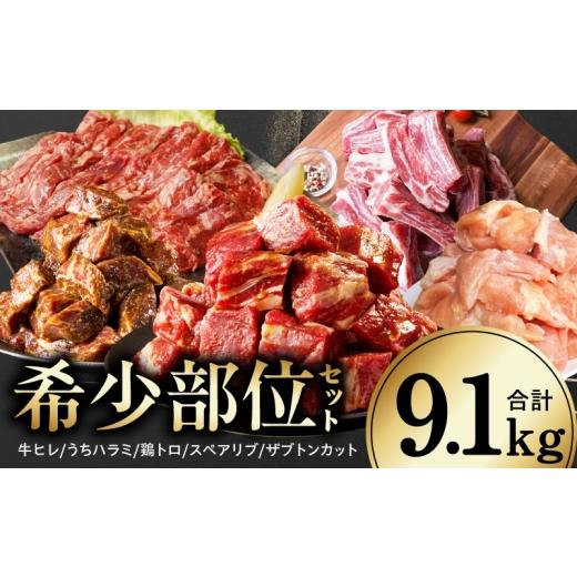 ふるさと納税 牛肉 セット 大阪府 泉佐野市 氷温熟成×極味付け/特製ダレ 希少部位セット 合計9.1kg 小分け 希少部位 ヒレ 鶏肉 スペアリブ はらみ ハラミ …