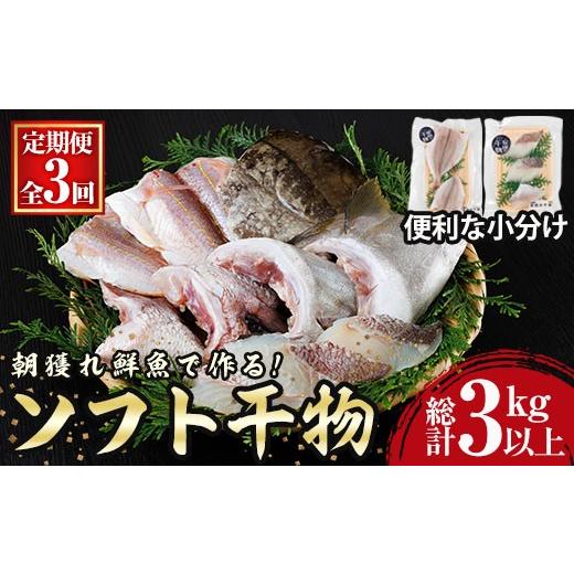 ふるさと納税 干物 宮崎県 門川町 定期便・全3回 朝獲れ鮮魚で作る 魚屋さんの 自家製 ソフト 干物(合計1kg以上・5〜10枚×3回)アジ イワシ カマス イカ タイ…
