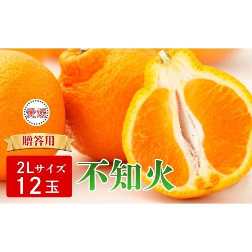 ふるさと納税 みかん・柑橘類 愛媛県 伊予市 2027年先行予約 みかん 不知火 2Lサイズ 12玉 贈答用 2027年3月中旬順次発送予定 数量限定 愛媛みかん ミカン 蜜…