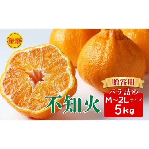ふるさと納税 みかん・柑橘類 愛媛県 伊予市 2027年先行予約 みかん 不知火 M〜2Lサイズ 5kg バラ詰め 贈答用 2027年3月中旬順次発送予定 数量限定 愛媛みか…