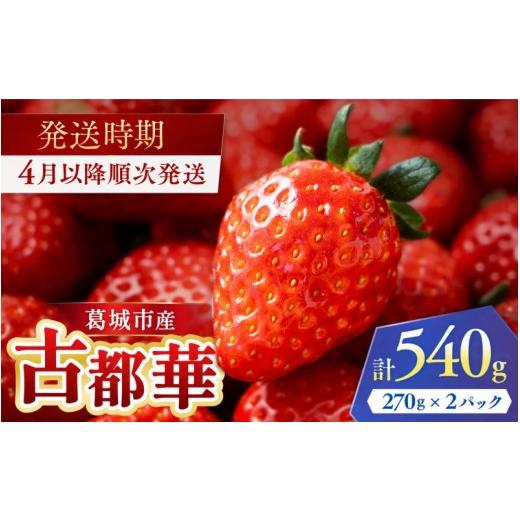 ふるさと納税 いちご 奈良県 葛城市 古都華 葛城市産 2パック 270g×2 4月以降順次発送 いちご 苺 イチゴ ことか ブランドいちご 奈良県産 高糖度 甘い 濃厚 …