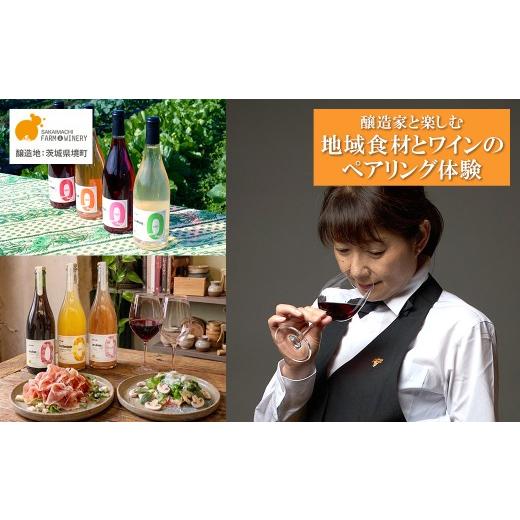 ふるさと納税 体験チケット 茨城県 境町 ワインペアリング体験 1名様利用券 境町産野菜料理付き シニアソムリエ監修 飲み比べ ワイン ツアー 酒 お酒 赤 白 ギ…