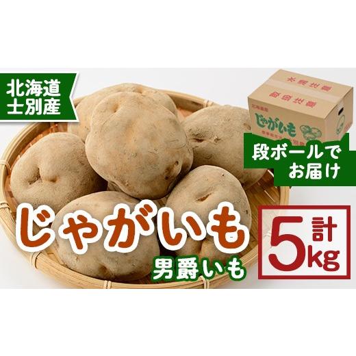 ふるさと納税 野菜類 じゃがいも 北海道 士別市 先行予約受付中 [数量・期間限定]北海道士別産 じゃがいも 男爵いも(5kg) 2026年10月中旬以降順次発送 ジャ…