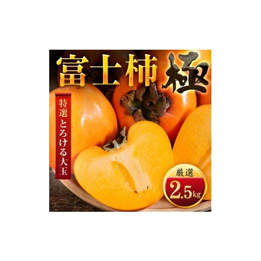 ふるさと納税 果物類 柿 愛媛県 八幡浜市 先行受付 年内発送 肉厚濃蜜 富士柿 2.5kg 愛媛県産 49-124 ふるさと納税 柿 かき 富士柿 フルーツ カキ 果物 2.5…