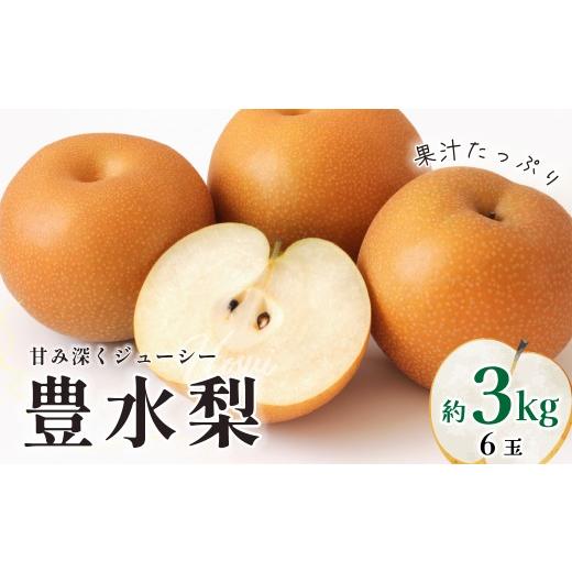 ふるさと納税 梨 茨城県 常陸太田市 梨 豊水 約3kg 6玉 先行予約 2026年 | 梨 豊水 オリジナル 大きい みずみずしい 品種 フルーツ 産地直送 限定品 贈り物 新…