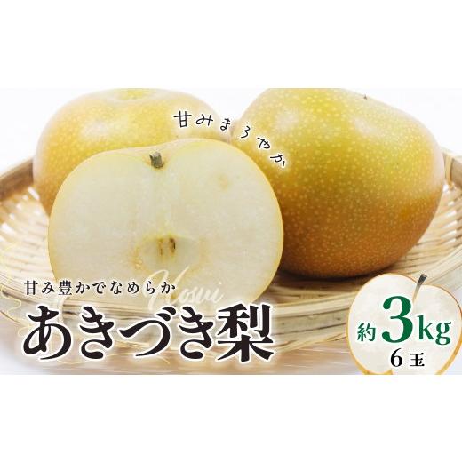 ふるさと納税 梨 茨城県 常陸太田市 梨 あきづき 約3kg 6玉 先行予約 2026年 | 梨 あきづき オリジナル 大きい みずみずしい 品種 フルーツ 産地直送 限定品 …