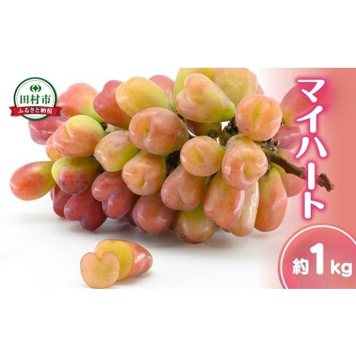 ふるさと納税 果物類 ぶどう 福島県 田村市 先行予約 2026年発送 マイハート 1kg 冷蔵 種無し 種なし ブドウ ぶどう シャインマスカット 巨峰 品種 果物 家庭…