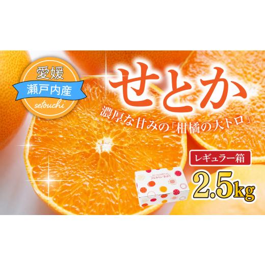 ふるさと納税 みかん・柑橘類 愛媛県 上島町 先行受付 せとか レギュラー箱 2.5kg 柑橘 愛媛 みかん ミカン 蜜柑 せとか セトカ 果物 フルーツ 国産 愛媛みか…