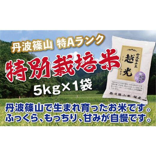 ふるさと納税 米 コシヒカリ 兵庫県 丹波篠山市 新米予約 令和8年産[スピード出荷] 特Aランク 丹波篠山産 特別栽培米 コシヒカリ 5kg[食味値83点以上]特…