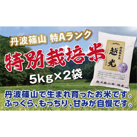 ふるさと納税 米 コシヒカリ 兵庫県 丹波篠山市 新米予約 令和8年産[スピード出荷] 特Aランク 丹波篠山産 特別栽培米 コシヒカリ 5kg × 2袋 計10kg[食味…