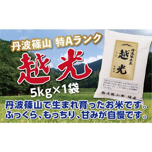ふるさと納税 米 コシヒカリ 兵庫県 丹波篠山市 新米予約 令和8年産[スピード出荷] 特Aランク 丹波篠山産 コシヒカリ 精米 5kg × 1袋[食味値83点以上]精…