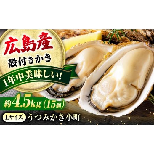 ふるさと納税 牡蠣 広島県 福山市 夏も冬もおいしい 厳選 広島産かき[Lサイズ15個]年中うまい 丹精込めた「うつみかき小町」(殻付き)」 かき小町 牡蠣 カ…