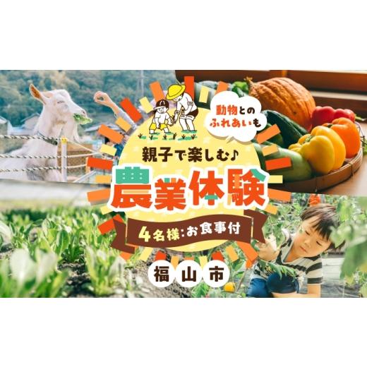 ふるさと納税 体験チケット 広島県 福山市 はっとりほたるの里 からだヨロコブ農園キャンプ場 HATTORI FIELD -ハットリフィールド- 親子で楽しむ農業体験4名…