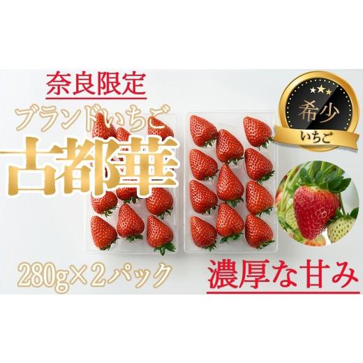 ふるさと納税 いちご 奈良県 桜井市 予約受付AD-66. 奈良県ブランドいちご 奈良県産「古都華(ことか)」280g×2パック/12月発送 12月発送