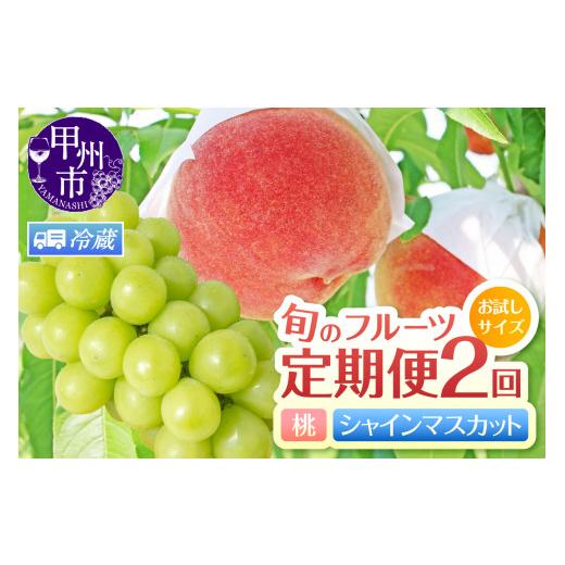 ふるさと納税 果物の詰合せ 山梨県 甲州市 定期便 お試しサイズ 旬のフルーツ2回定期便(桃・シャインマスカット) 2027年発送 (HK)B16-440 2027年発送
