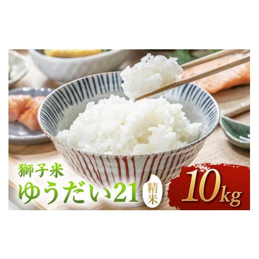 ふるさと納税 米 茨城県 石岡市 令和8年産 獅子米 ゆうだい21(精米)10kg