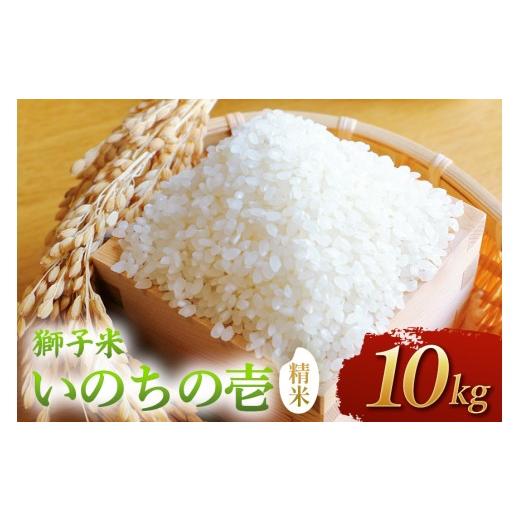 ふるさと納税 米 コシヒカリ 茨城県 石岡市 令和8年産 獅子米 いのちの壱(精米)10kg