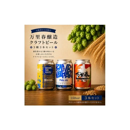 ふるさと納税 ビール 地ビール 大阪府 富田林市 ブルワー厳選 万里春醸造クラフトビール 3種飲み比べ3本セット 1754513