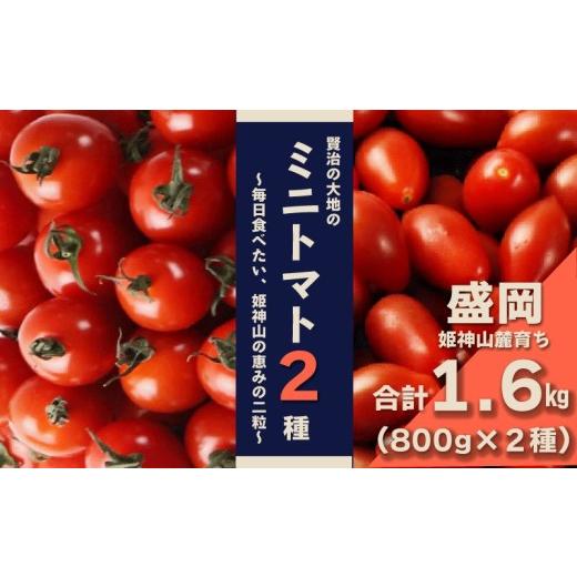 ふるさと納税 トマト 岩手県 盛岡市 岩手県産 ミニトマト2種 800g×2種/計1.6kg 姫神山 天然地下水栽培 食べ比べ 賢治の大地 ミニトマト2種 こだわり 人気…