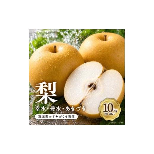ふるさと納税 梨 茨城県 かすみがうら市 8月上旬より順次発送予定 茨城県かすみがうら市産梨 品種おまかせ 約10kg 1759351