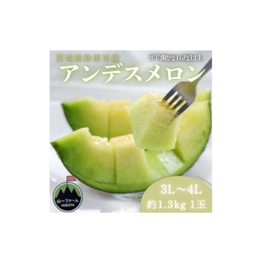 ふるさと納税 メロン 茨城県 - 先行受付 令和9年4月より順次発送 茨城県鉾田市 山一ファーム アンデスメロン 3L〜4L・1玉 1759307