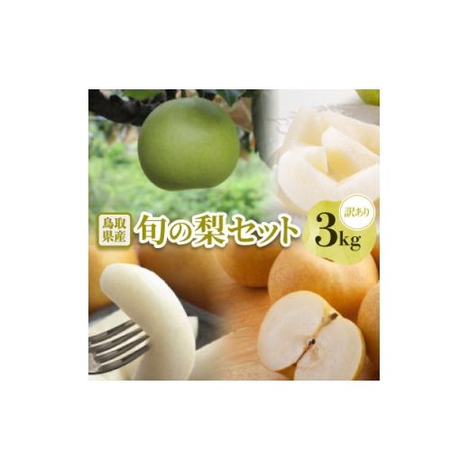 ふるさと納税 梨 鳥取県 伯耆町 訳あり 鳥取県産旬の梨 3kg 1733758