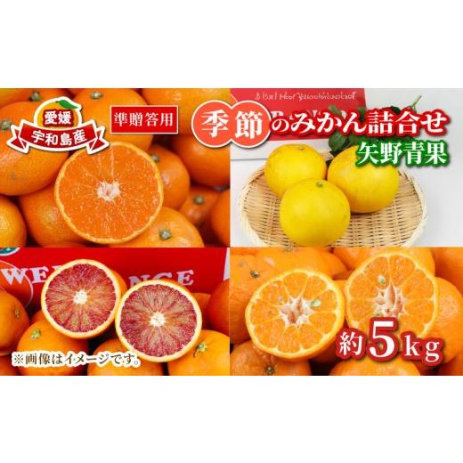 ふるさと納税 果物類 みかん 愛媛県 宇和島市 準 贈答用 季節のみかん 詰合せ 5kg 矢野青果 フルーツ 詰め合わせ セット 柑橘 ミカン 蜜柑 mikan 果物 くだも…