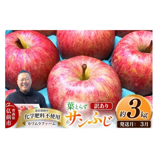 ふるさと納税 りんご 青森県 弘前市 27年3月クール便発送 りんご 葉とらず サンふじ 訳あり 約3kg 先行受付 カワムラファーム 青森県 弘前市 果物 フルーツ …
