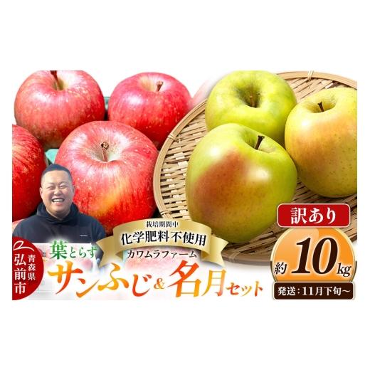 ふるさと納税 りんご 青森県 弘前市 26年11月下旬〜発送 りんご 葉とらず サンふじ&名月 セット 訳あり 約10kg 先行受付 カワムラファーム 青森県 弘前市 果…