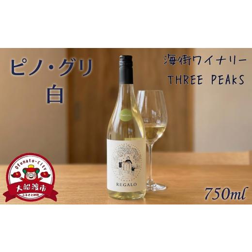 ふるさと納税 お酒 洋酒 岩手県 大船渡市 スピード発送 ピノ・グリ 750ml×1本 スリーピークスワイナリー ワイン 白ワイン おつまみ ワイン ワインセット 常…