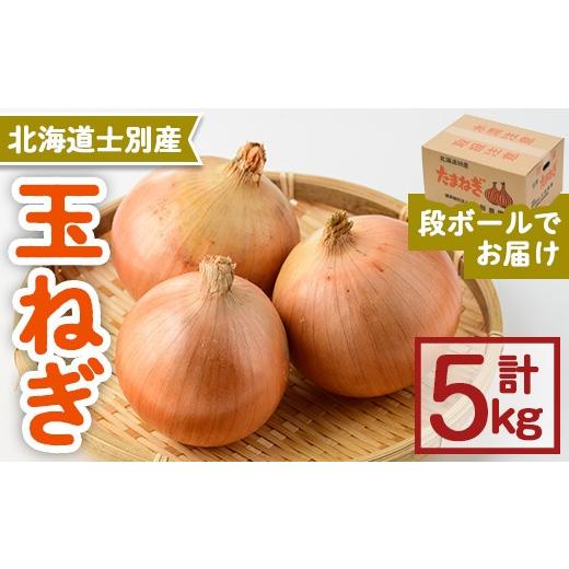 ふるさと納税 野菜類 玉ねぎ 北海道 士別市 先行予約受付中 [数量・期間限定]北海道士別産 玉ねぎ(5kg) 2026年10月中旬以降順次発送 たまねぎ 玉葱 5kg 野…