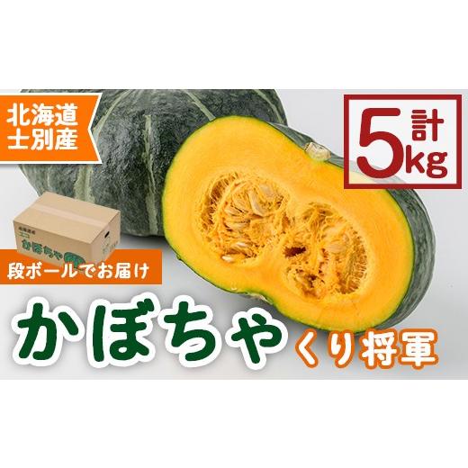 ふるさと納税 野菜類 北海道 士別市 先行予約受付中 [数量・期間限定]北海道士別産 かぼちゃ くり将軍(5kg) 2026年10月中旬以降順次発送 かぼちゃ カボチャ…