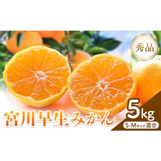 ふるさと納税 果物類 みかん 和歌山県 日高川町 先行予約 宮川 早生 みかん 約 5kg (S〜Mサイズ) 松井農園[2026年12月上旬-2027年1月上旬頃出荷予定] 和歌…
