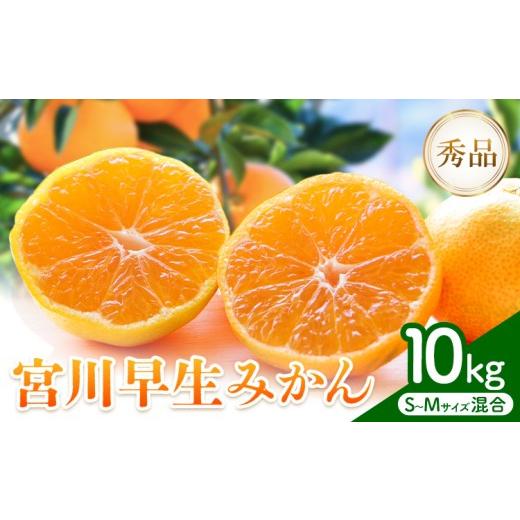 ふるさと納税 果物類 みかん 和歌山県 日高川町 先行予約 宮川 早生 みかん 約 10kg (S〜Mサイズ混合) 松井農園[2026年12月上旬-2027年1月上旬頃出荷予定] …