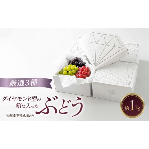 ふるさと納税 ぶどう 巨峰 岡山県 里庄町 岡山県産 ダイヤモンド型の箱に入ったぶどう 厳選3種 約1kg 葡萄 ブドウ 岡山県産 オーロラブラック マイハート ニュ…