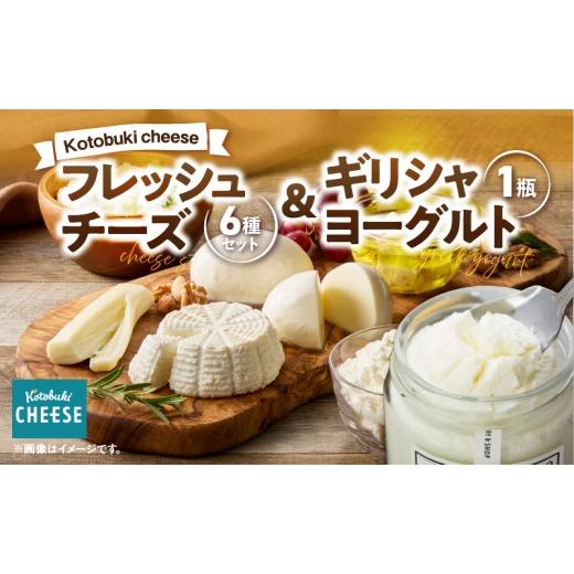 ふるさと納税 加工品等 チーズ 鹿児島県 鹿屋市 1128 フレッシュチーズ6種/ギリシャヨーグルトセット 10月出荷 KN087-002-10 10月出荷