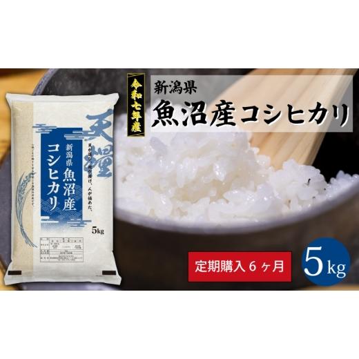 ふるさと納税 米 コシヒカリ 新潟県 新潟市 新潟産コシヒカリ5kg定期便6ヶ月