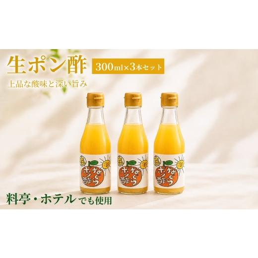 ふるさと納税 たれ・ドレッシング・酢 大阪府 阪南市 プロの料理人も愛用 料亭・ホテルで使用されている生ポン酢のセット