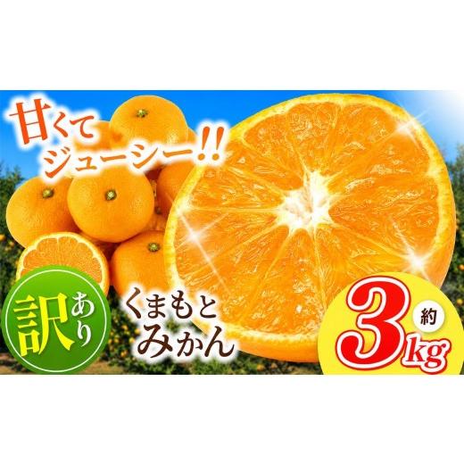 ふるさと納税 果物類 みかん 熊本県 玉名市 訳あり 熊本県産 温州みかん 約 3kg | 果物 くだもの フルーツ 柑橘 柑橘類 みかん ジューシー みかん 甘い みかん…