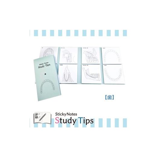 ふるさと納税 文房具・玩具 愛知県 犬山市 5-9_医療付箋 Sticky Notes Study Tips (スタディチップス) 歯|付箋 歯 医師 医者 医学 からだ ほね 学習 付せん …