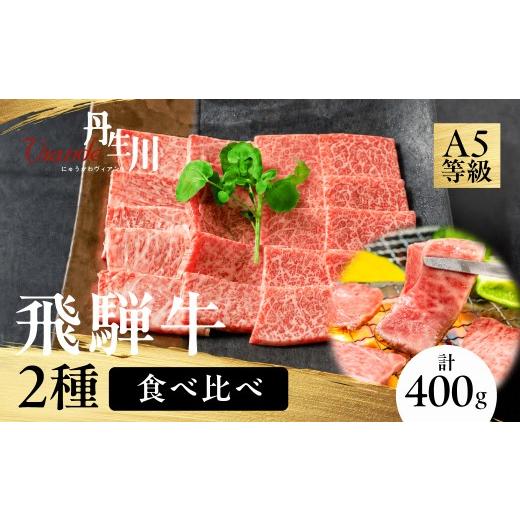 ふるさと納税 牛肉 モモ 岐阜県 高山市 2種食べ比べ 飛騨牛 A5等級 肩もも 焼肉 200g 赤身 もも 200g | 黒毛和牛 ブランド牛 丹生川精肉 JJ009VC13