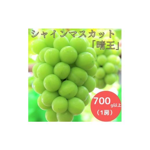 ふるさと納税 ぶどう マスカット 岡山県 勝央町 岡山県産 シャインマスカット 700g以上(1房) 9月中旬から10月中旬発送 _A5 700g以上 (1房)