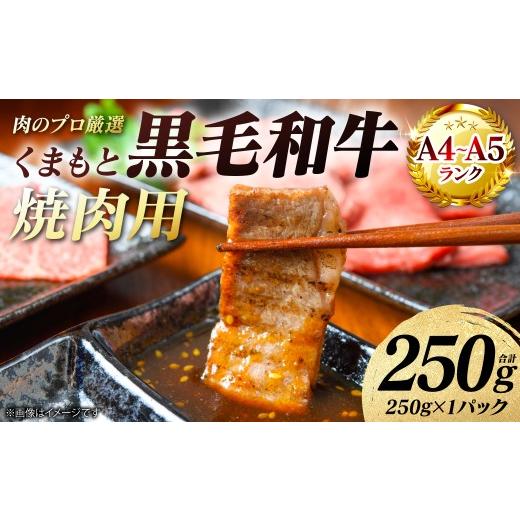 ふるさと納税 牛肉 焼肉・バーベキュー 熊本県 八代市 A4〜A5ランク くまもと黒毛和牛 焼肉用 250g (250g×1パック) 和牛 牛肉 お肉 黒毛和牛 冷凍 焼肉 BB…