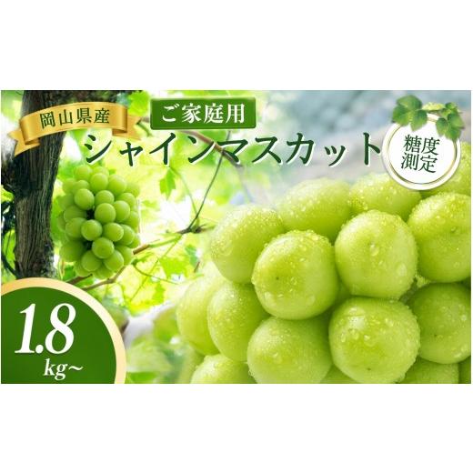 ふるさと納税 ぶどう マスカット 岡山県 真庭市 2026年先行予約 岡山県産シャインマスカット ご家庭用 1.8kg~ 糖度測定 / ぶどう 岡山 真庭市 シャインマス…