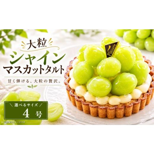 ふるさと納税 ケーキ・カステラ タルト 徳島県 阿波市 日時指定可 大粒 シャインマスカットタルト 4号 ケーキカスタードクリーム クレームダマンド フルーツタ…