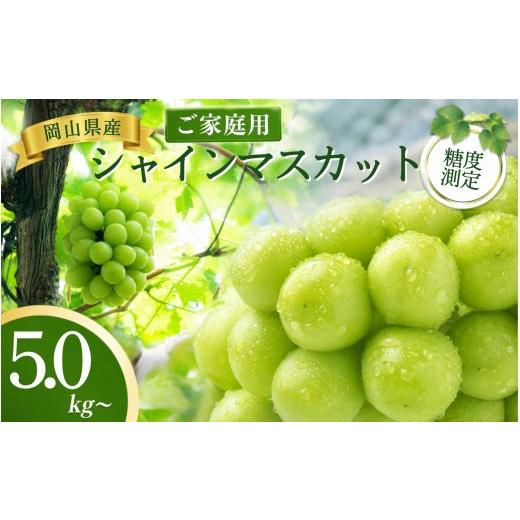 ふるさと納税 ぶどう マスカット 岡山県 真庭市 岡山県産シャインマスカット ご家庭用 5kg~ 2026年先行予約 糖度測定 / ぶどう 岡山 真庭市 シャインマスカッ…