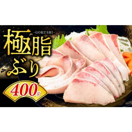 ふるさと納税 旬の鮮魚等 高知県 宿毛市 ぶり ロイン 約400g 株式会社勇進 約400g (10,000円)