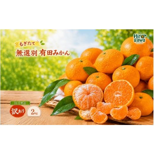 ふるさと納税 果物類 みかん 和歌山県 広川町 もぎたて 無選別 有田 みかん 2kg 訳あり 10月 配送 / ミカン 蜜柑 柑橘 温州みかん 和歌山 有田 2026年10月上…